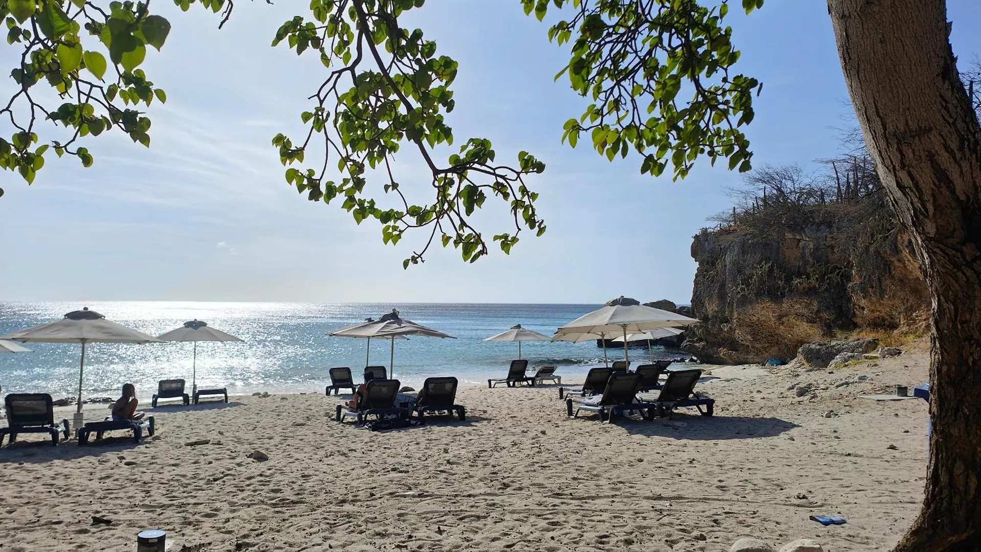 Modern Sunshine Yellow Apartment With Nature Views Willemstad Curaçao